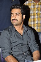 NTR Stills at Baadshah Success Meet